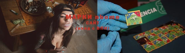 ПСИЛОЦИБИНОВЫЕ ГРИБЫ Чекалин