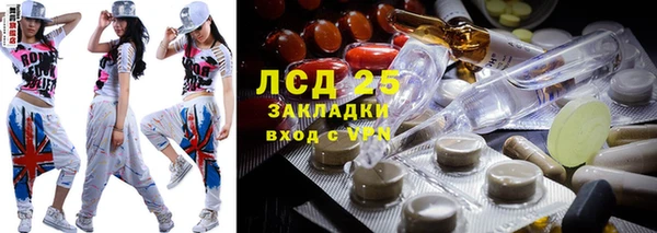 ГАЛЛЮЦИНОГЕННЫЕ ГРИБЫ Касимов