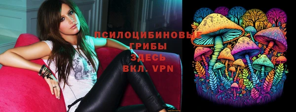 ПСИЛОЦИБИНОВЫЕ ГРИБЫ Инсар